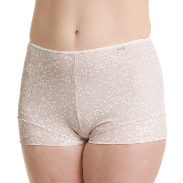 Avet Boxertrosa – Rosa blomma
